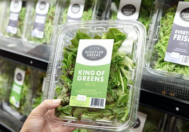 Food labels with nutrition and ingredient information