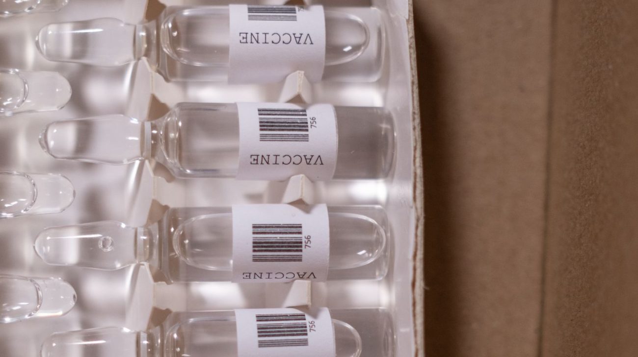 Ampoules boxed and coded for traceable dispatch